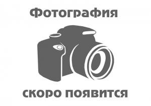 Детектор металла MS6906 MASTECH